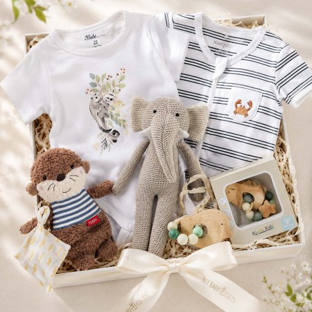 Hamper for a Newborn Baby Boy